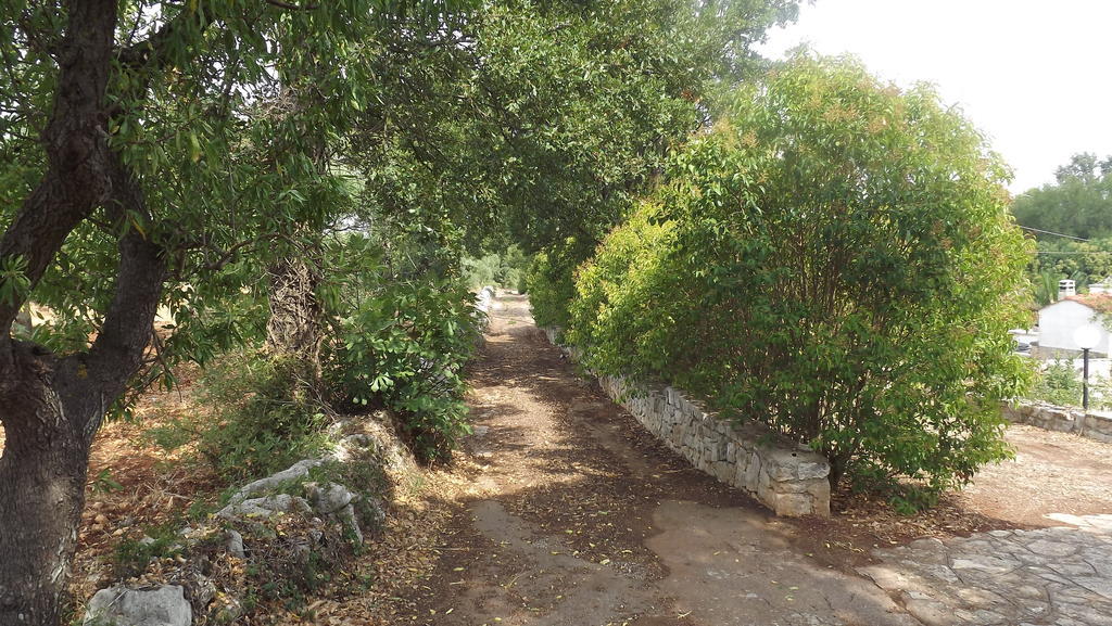 Villa Apollonia B&B Monopoli Ngoại thất bức ảnh